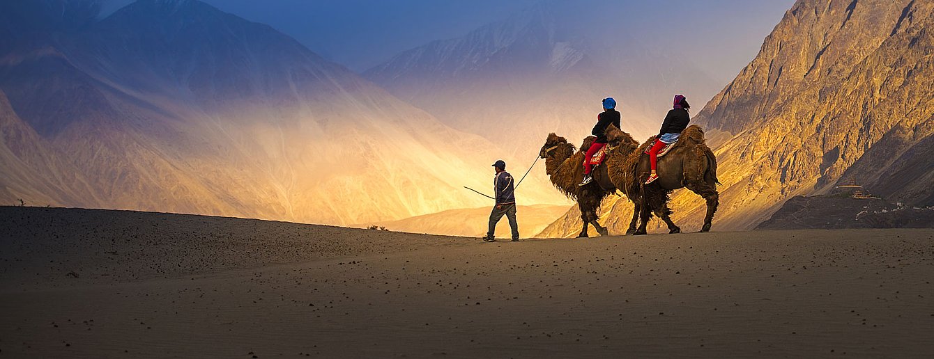 portfolio_078_01